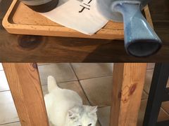 -彳亍咖啡·这里(水湾路店)