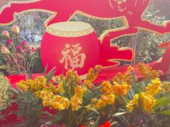 -南山植物园