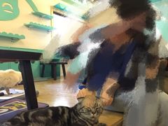 -萌喵宠狗爱心宠咖