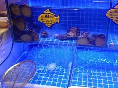 -北李妈妈菜·海肠捞饭(高新万达店)