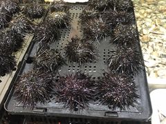 -恒达综合农贸市场(黄山路店)