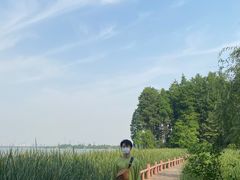 -东湖落雁景区