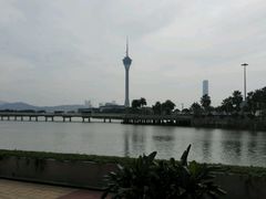-柠檬车露(卖草地店)
