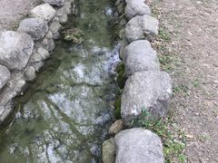 -瑞穗牧场