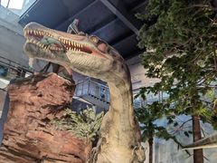 -湖南省地质博物馆