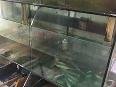 -如意楼农家菜(雁荡山店)
