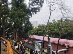 -马王堆汉墓遗址