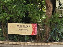 -公利真料竹蔗水(中环店)