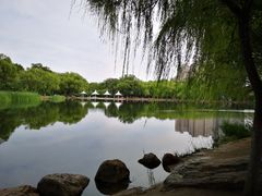 -青城公园