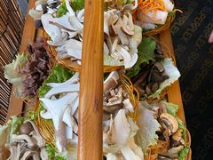 -易门野生菌府·菌海森林(月牙潭公园店)