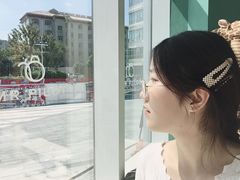 -飞行喵MR PILOT|猫舍·猫咖(静安大融城店)