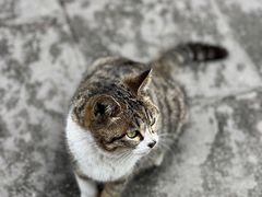 -海窝子古镇