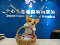 -全心全意连锁动物医院·微创中心·内科急重症·心脏专科(丰管路店)