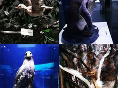 -重庆自然博物馆(新馆)