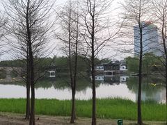 -尚贤河湿地