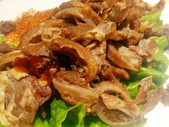 -蒙料·手把肉(望京店)