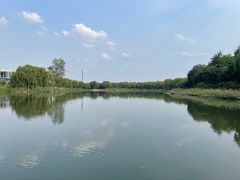 -大兴滨河森林公园