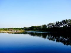 -溱湖国家湿地公园