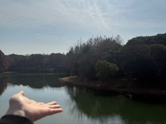 -尚贤河湿地