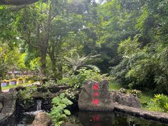 -海口火山口国家地质公园