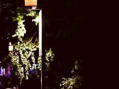 -长春市南湖公园