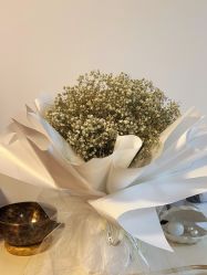 -美肤盾祛痘·问题肌头疗管理中心