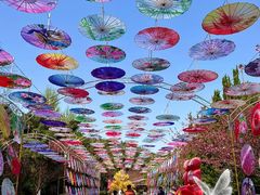 -石岛赤山风景区