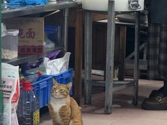 -老二正宗汕头牛肉丸店