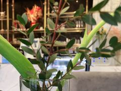 -chenity  cafe