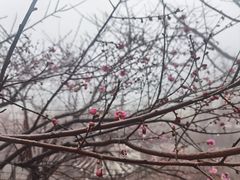 -径山寺
