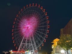 -琴岛之星摩天轮
