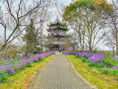 -上海海湾国家森林公园