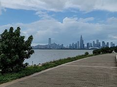 -深圳湾公园(南山区)