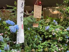 -花二家·生活馆(六运小区店)