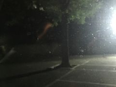 -首都医科大学附属北京友谊医院(西城院区)