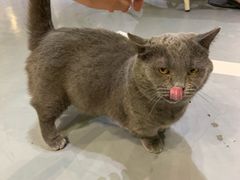 -小时光咖啡馆(开森度假森林店)