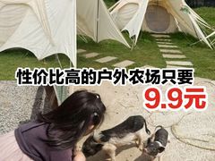 -前小桔亲子创意农场·草莓采摘·露营烧烤