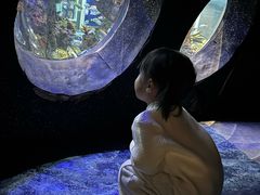 -成都浩海立方海洋公园