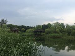 -日出青木·杭帮菜名店