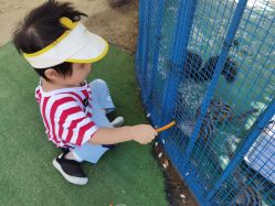 -萌宠亲子动物乐园(槐房万达店)