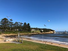 -12 Rocks Beach Bar Cafe