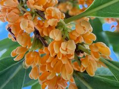 -苏州河梦清园环保主题公园