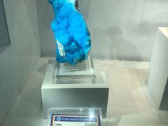 -中国地质大学逸夫博物馆