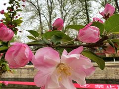 -元大都城垣遗址公园