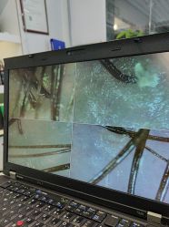 -章光101防脱养发荟