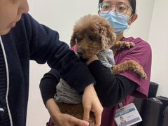 -美联众合动物医院·24h转诊中心