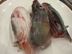 -正能量脆肉鲩火锅