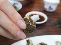 -四季美蚝皇