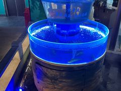 -佬麻雀·剁椒鱼头(京基KK One店)