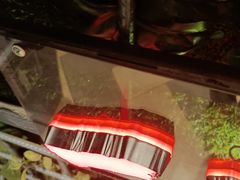 -湘当爱·鲜煮现炒(松岗立业路店)